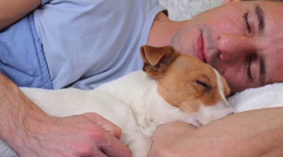 Dormir com animal de estimação faz mal ou não para a saúde?