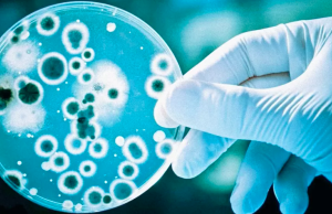 Antibiótico capaz de matar superbactéria é descoberto com ajuda de IA