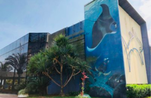 Aquário de Santos abre inscrições para cursos de férias