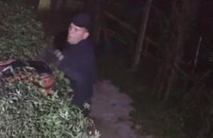 Ninja do crime, escala e furta casas em bairros nobres de SP