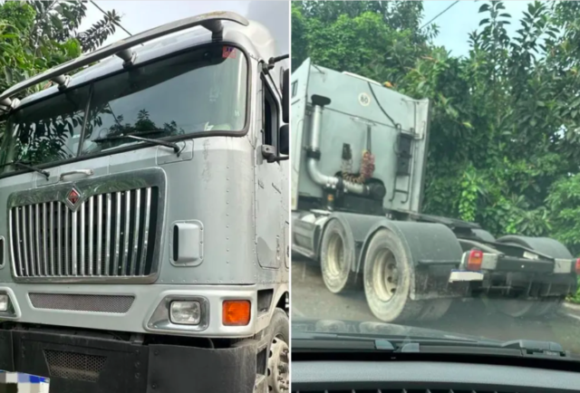 Motorista simula roubo de carga