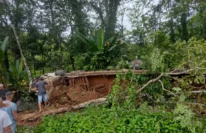 Caminhão com grama tomba e condutor fica preso nas ferragens
