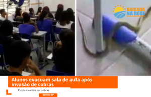 Escola é invadida por cobras e alunos precisam evacuar sala de aula em Santos, SP