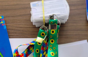 Câmara de Praia Grande aprova lei que cria carteira de identificação para pessoas com autismo