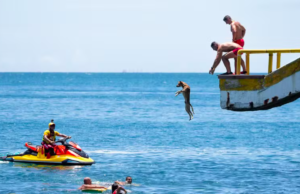 Cachorro caramelo vira ‘guarda-vidas’ e participa de treinamento em Guarujá, SP