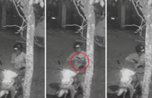 MP nega pedido de prisão preventiva a Guarda Municipal que matou a própria cadela, em São Vicente, SP