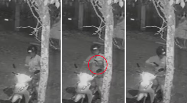 Guarda Municipal que matou a própria cadela