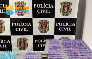 Polícia Civil prende 23 pessoas em operação contra crimes patrimoniais e tráfico de drogas na Baixada Santista