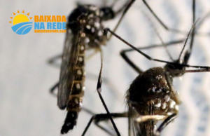 Criança de 1 ano morre vítima de dengue em Cubatão, SP