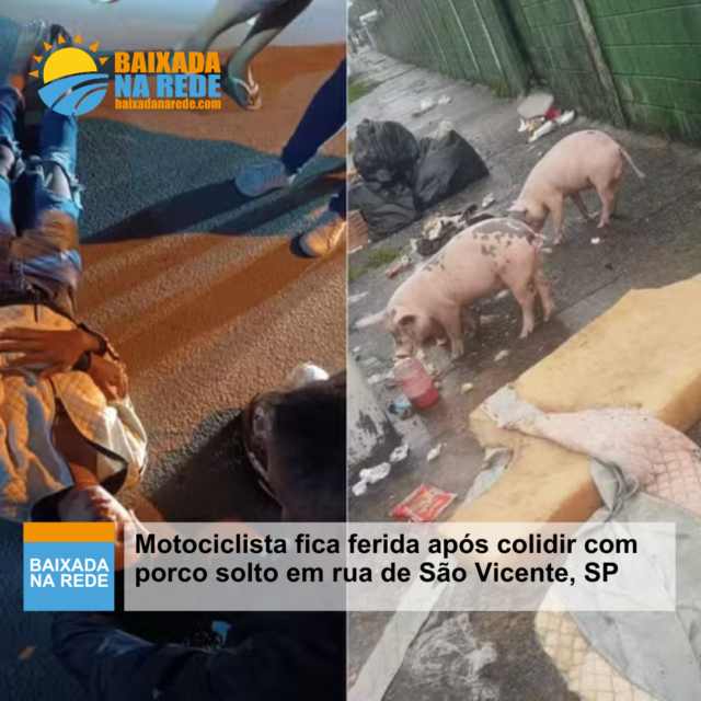 Motociclista fica ferida após colidir com porco solto em rua de São Vicente, SP