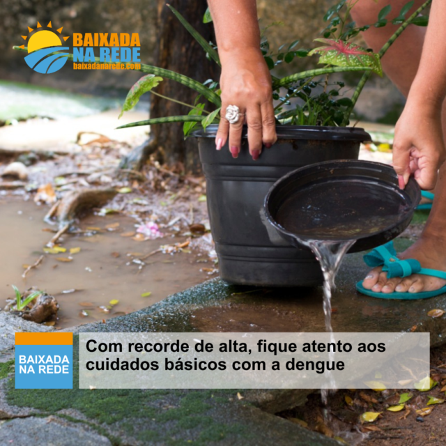 Com recorde de alta, fique atento aos cuidados básicos com a dengue