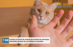Conheça os riscos de ataques de animais de estimação infectados, através dos arranhões ou mordidas.