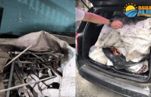 OPERAÇÃO EM SANTOS ACABA COM FURTO NA OBRA DO VLT