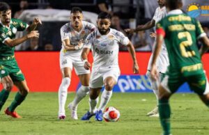 Santos perde para o Palmeiras dentro da Vila Belmiro