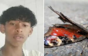 Jovem morre após amassar e injetar líquido de uma borboleta na perna