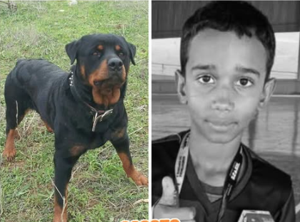 Captura de Tela 2025-03-19 às 15.30.12