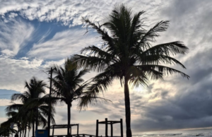 Fenômeno da natureza deixa populares surpresos no litoral de SP