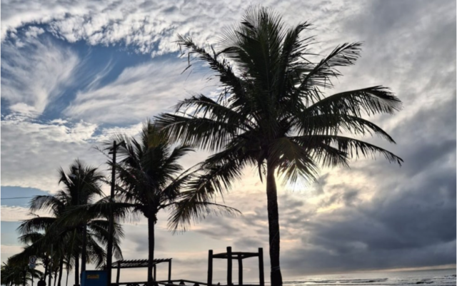 Captura de Tela 2025-03-24 às 11.15.04