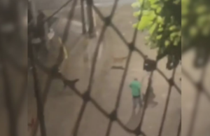 Frentista é agredido ao defender cães em posto de combustíveis em Cubatão (SP)