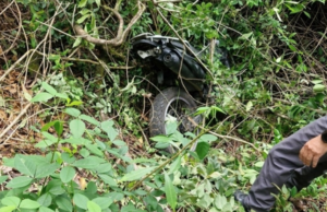 Denúncia leva PM a moto furtada escondida no mato em Ilhabela