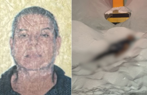 Caminhoneiro morre após ser soterrado por fertilizantes em terminal de Cubatão, SP