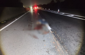 Acidente envolve pedestre e carreta na Rodovia Anchieta, em Cubatão SP