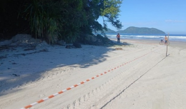 Captura de Tela 2025-06-05 às 14.31.23