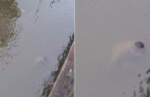 Homem é encontrado morto em rio de Mongaguá