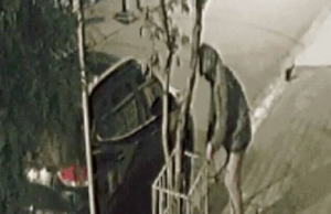 Homem é filmado abandonando e amarrando cachorro em canteiro litoral de SP.