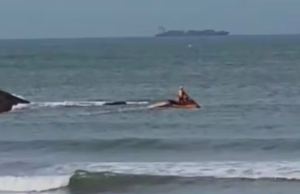GBMar realiza buscas por turista que desapareceu no mar em Guarujá, SP.