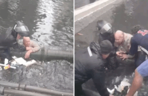 Idoso escorrega e cai da mureta no canal 3, em Santos.