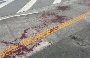 Motociclista morre após ter pescoço cortado por linha de pipa em Santos.