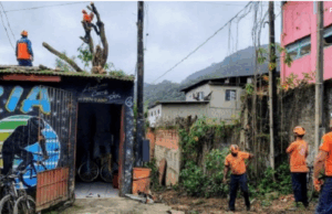 Balanço da Defesa Civil de São Sebastião aponta mais de 160 atendimentos em agosto
