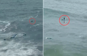 Piloto de paraglider fica ferido após cair no mar de Guarujá.