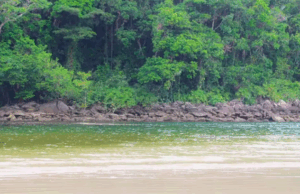 Dois turistas morrem afogados em praias do litoral de SP.