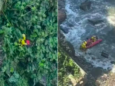 Homem se joga de precipício para fugir de abelhas no litoral de SP.